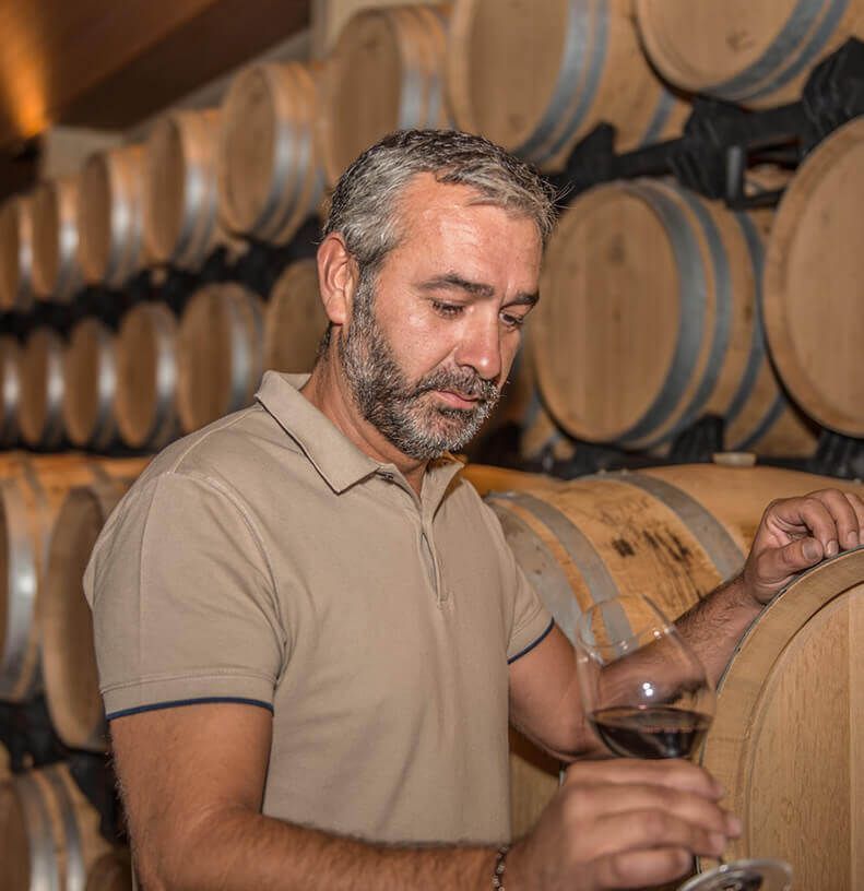 Cata en Bodegas Pujanza