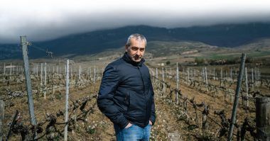 Carlos San Pedro, Bodegas Pujanza